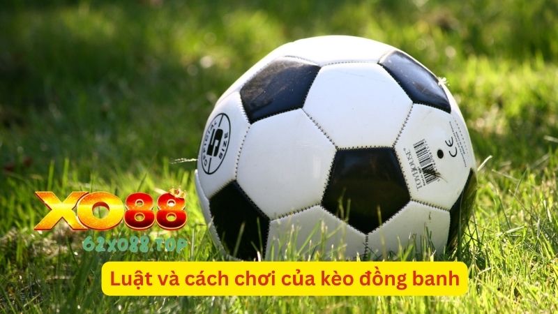 Luật chơi và cách chơi kèo đồng banh hiệu quả