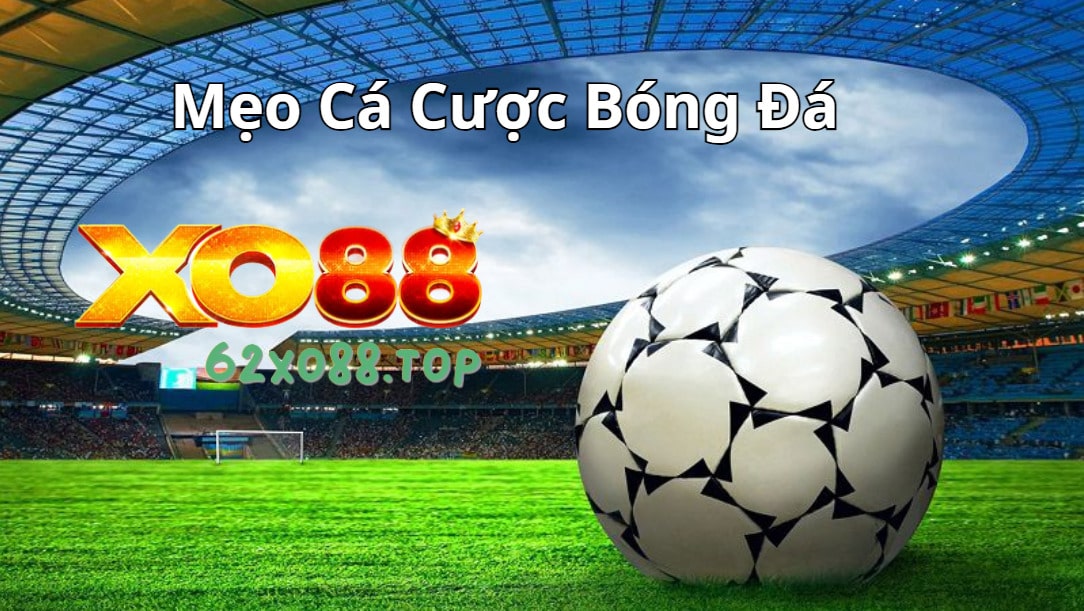 Những lưu ý khi áp dụng mẹo cá cược bóng đá Những lưu ý khi áp dụng mẹo cá cược bóng đá