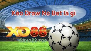 Kèo Draw No Bet là gì? Bạn nên biết đến
