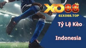 Tỷ lệ kèo indonesia là gì? Bạn nên tìm hiểu