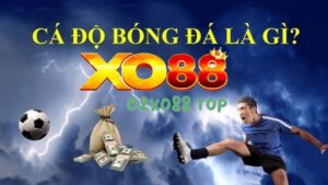 Cá độ bóng đá là gì? Bạn nên biết đên